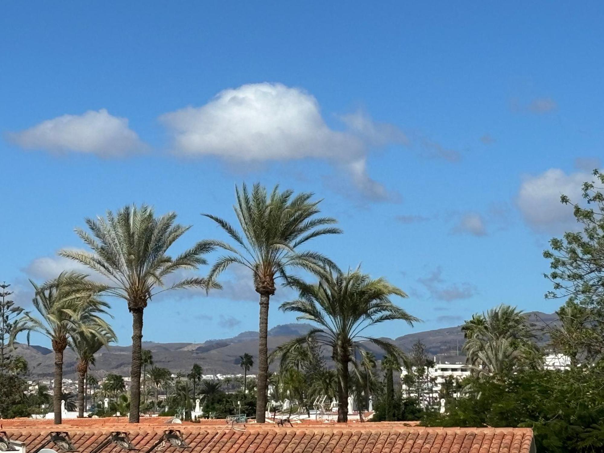 Loris Home Playa Ingles 50Mt From Yumbo By Luca Properties Gran Canaria San Bartolomé Exterior photo